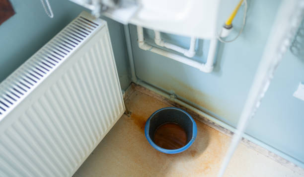 Best Water damage cleanup near me  in Piney Point Village, TX