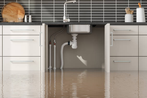Best Emergency water extraction  in Piney Point Village, TX
