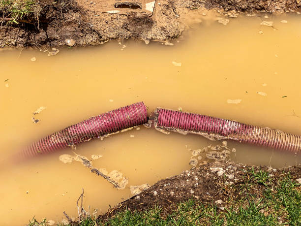  Piney Point Village, TX Water damage restoration Pros